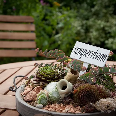 Hotel Mein Inselhotel