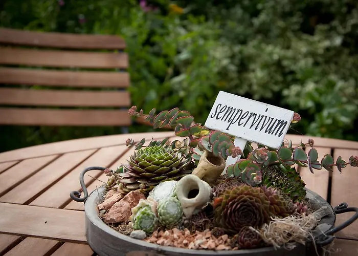 Hotel Mein Inselhotel